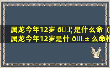 属龙今年12岁 🐦 是什么命（属龙今年12岁是什 🐱 么命格）